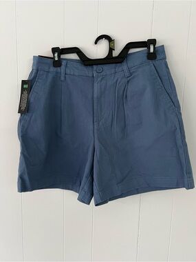 Banana Republic Blue Front Pleats Shorts